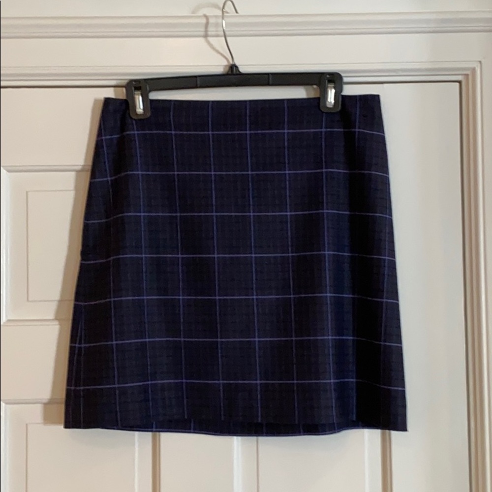 Banana Republic Skirt